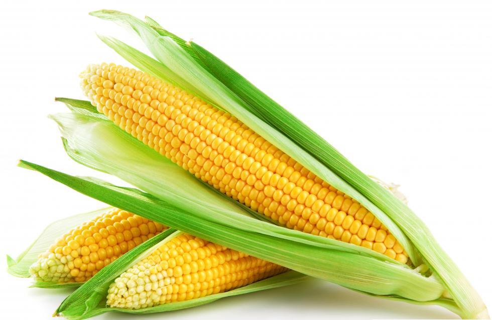 Corn - Maize
